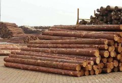 贵州板材供应讲述生态板和免漆板有什么区别