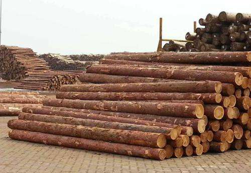 木材加工厂的消防**隐患