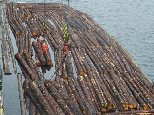 我国原木进口继续下降，锯材进口较明显增长