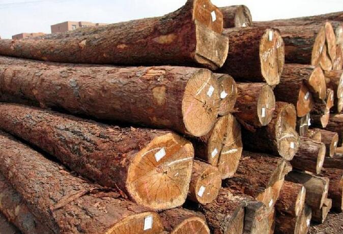 上周木材市场价格行情分析